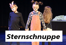 sternschnuppe