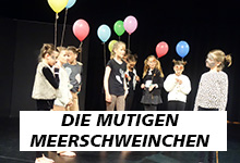 meerschweinchen